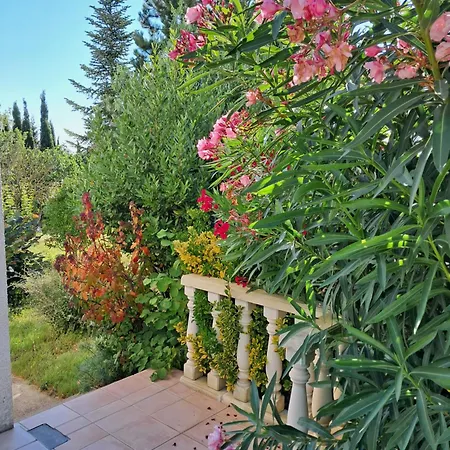 My Quiet Place Near Сasa de vacaciones